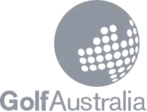 gray golf logo